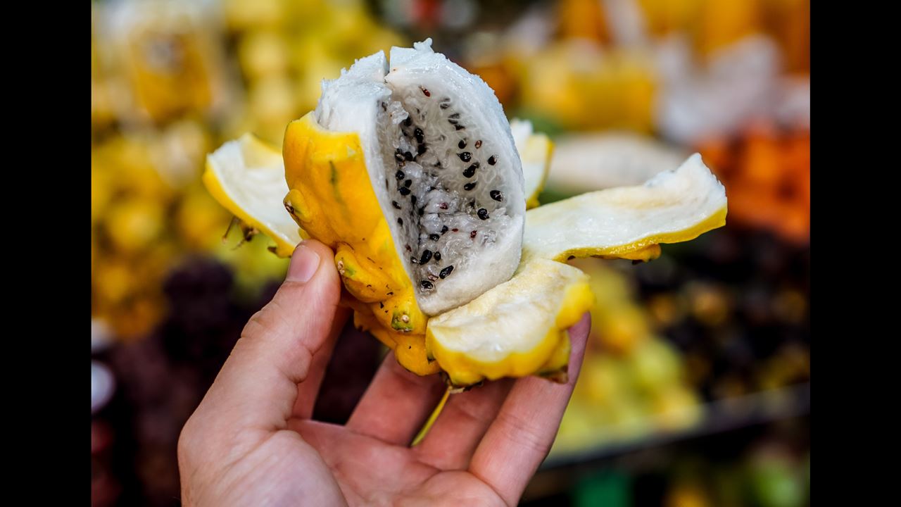 Rota Essencial da Capital – Experiência Matinal (12)