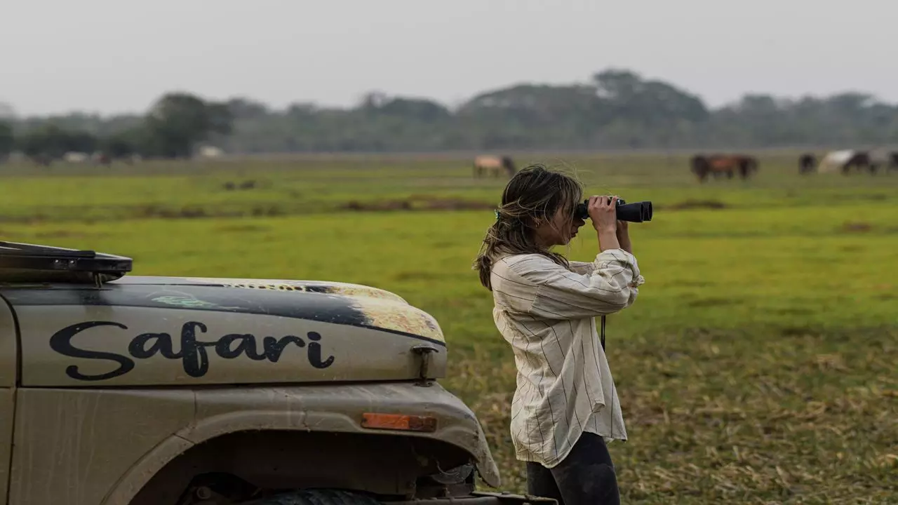 Safari Llanero À Casanare