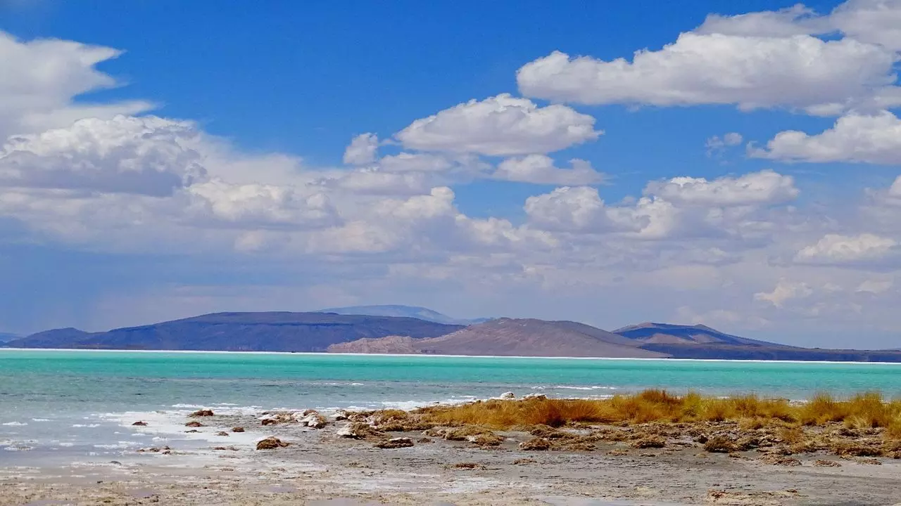 Le Salar De L`Homme Mort