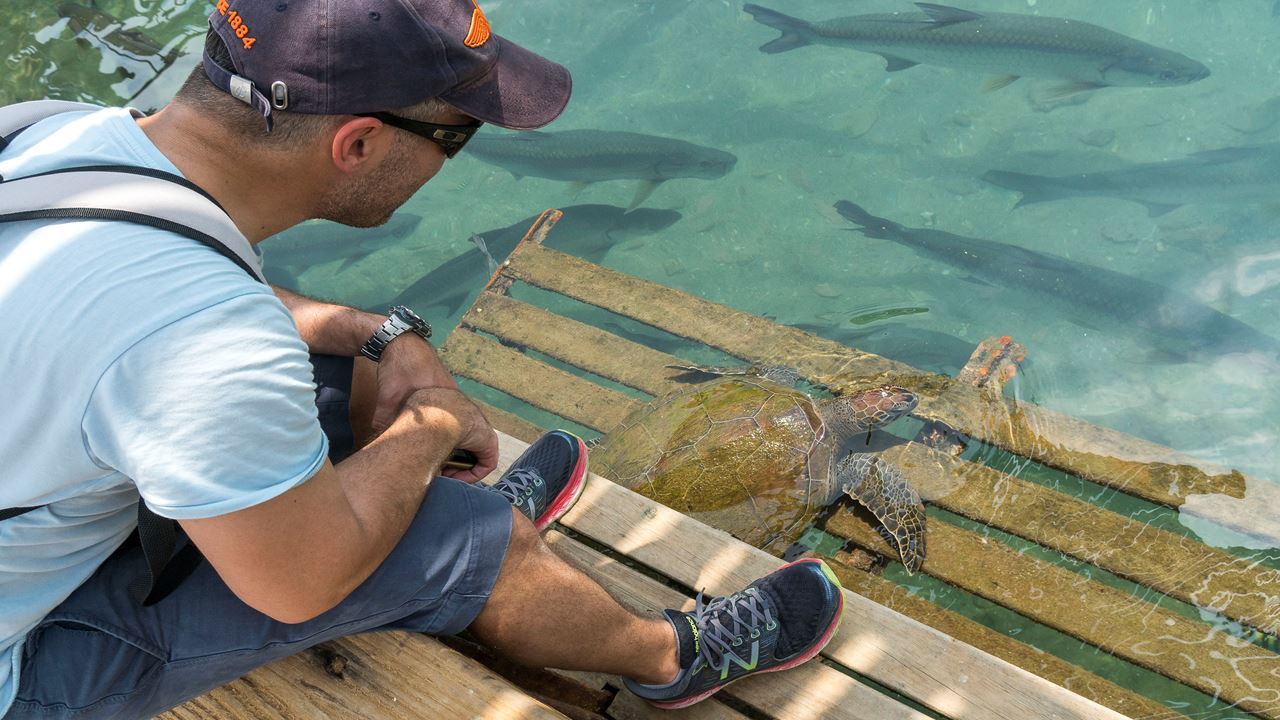 Complete Santa Marta: Caribbean and Culture in 6 Days (8)