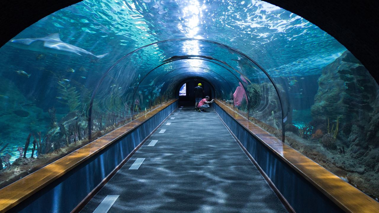 Santa Marta in 5 Tagen: Natur und Strand (6)