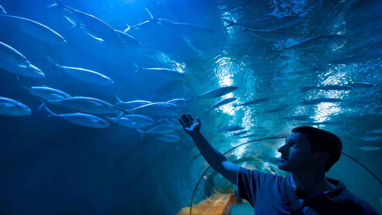 Santa Marta in 5 Tagen: Natur und Strand (8)