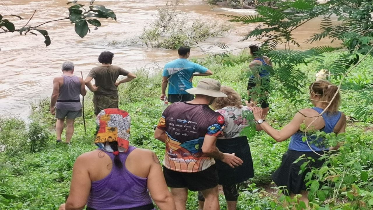 MISIONES FORÊT TROPICALE 3 JOURS 2 NUITS (5)