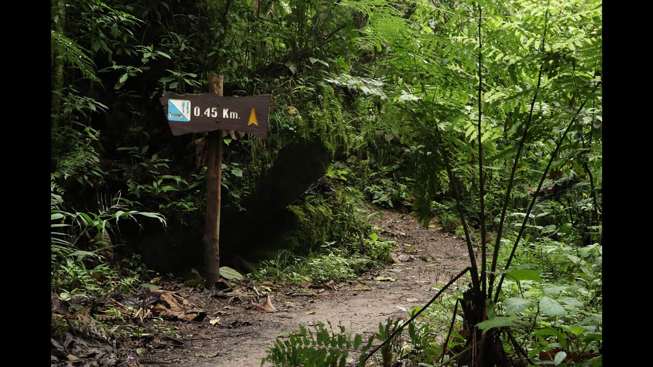 Hiking In Chicaque Natural Park foto 5