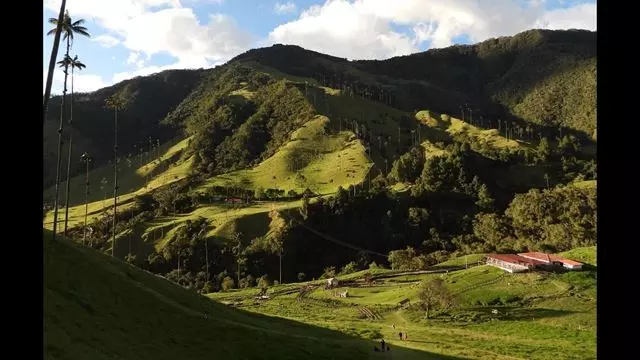 Caminhada No Vale Do Cocora