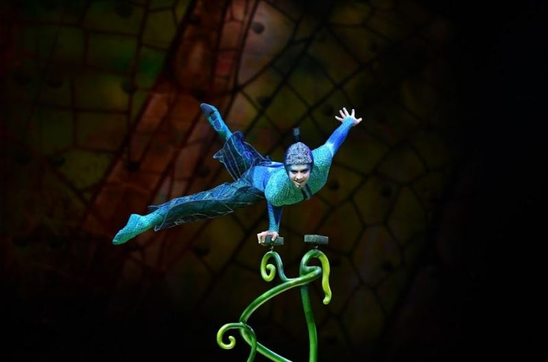 SHOW CIRQUE DU SOLEIL - TECNOPOLIS (6)