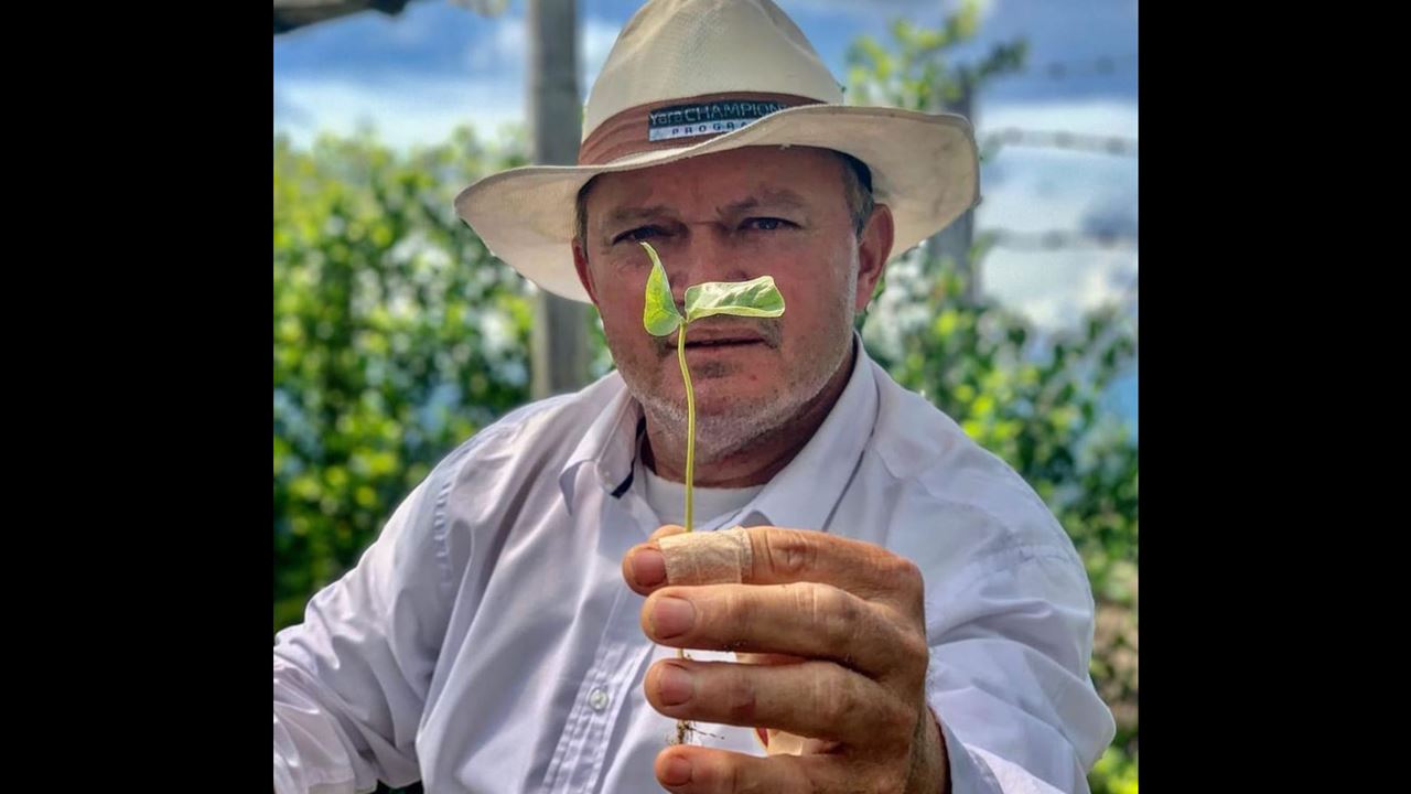 Siembra Un Árbol De Café En Finca Cafetera foto 2