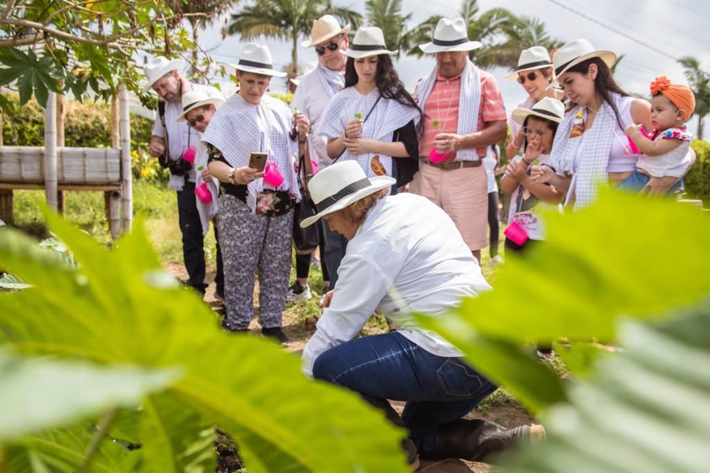 Siembra Un Árbol De Café En Finca Cafetera foto 7