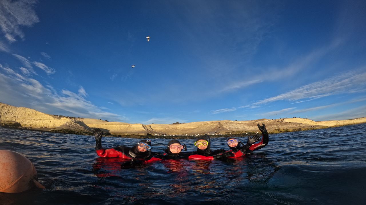 Snorkeling Avec Les Loups Phoques
