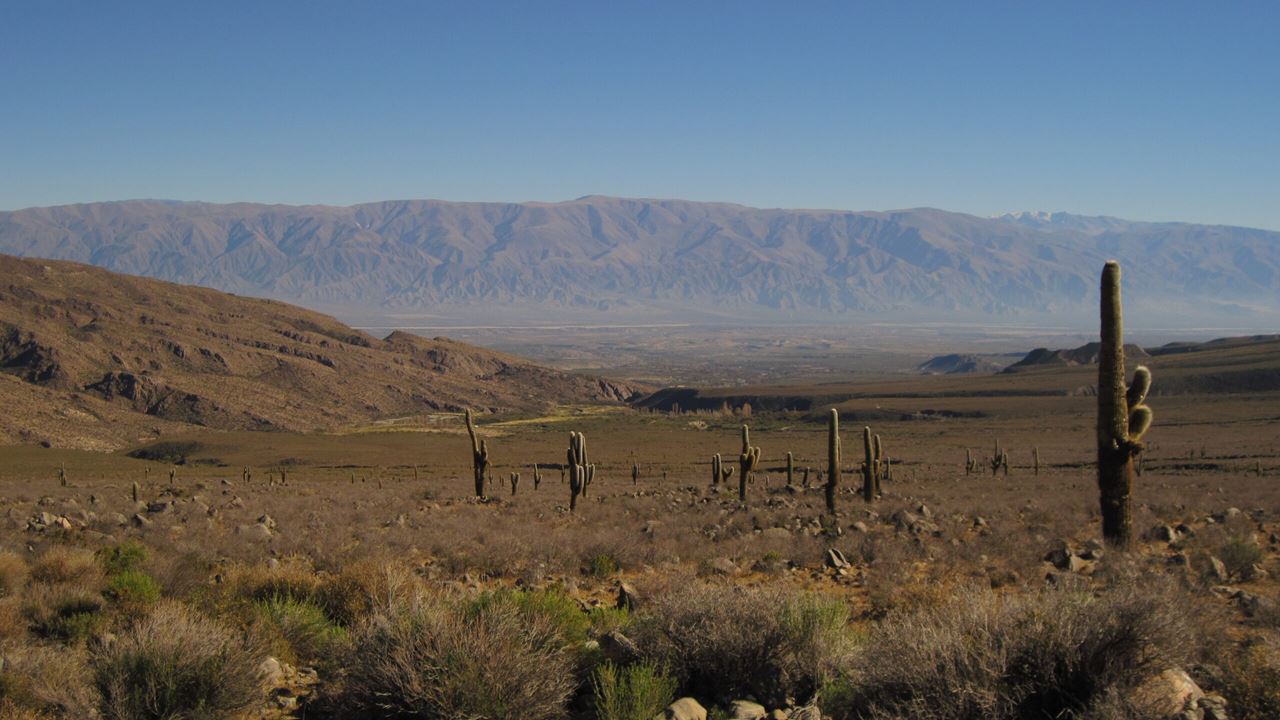 TAFI DEL VALLE ET CAFAYATE (8)