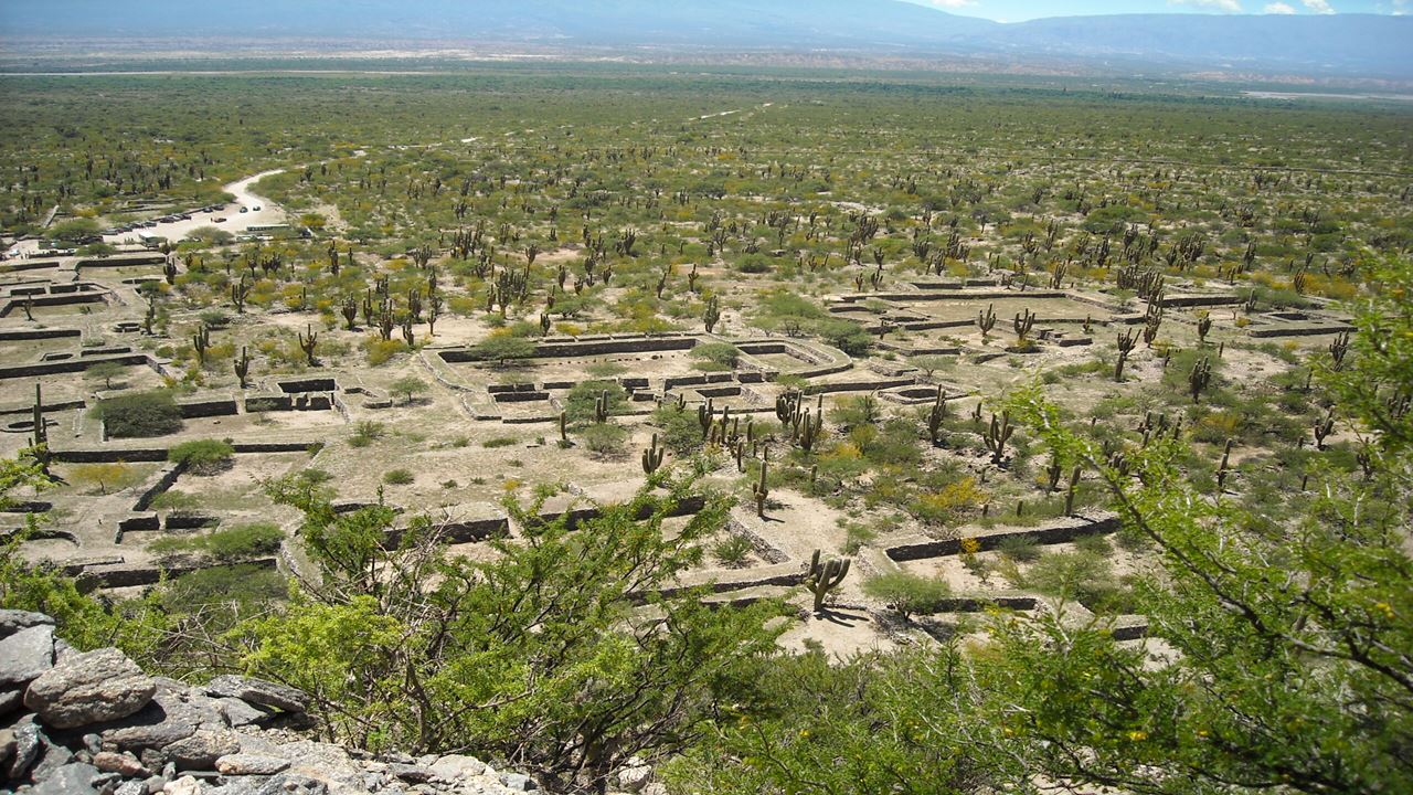 TAFI DEL VALLE ET CAFAYATE (9)