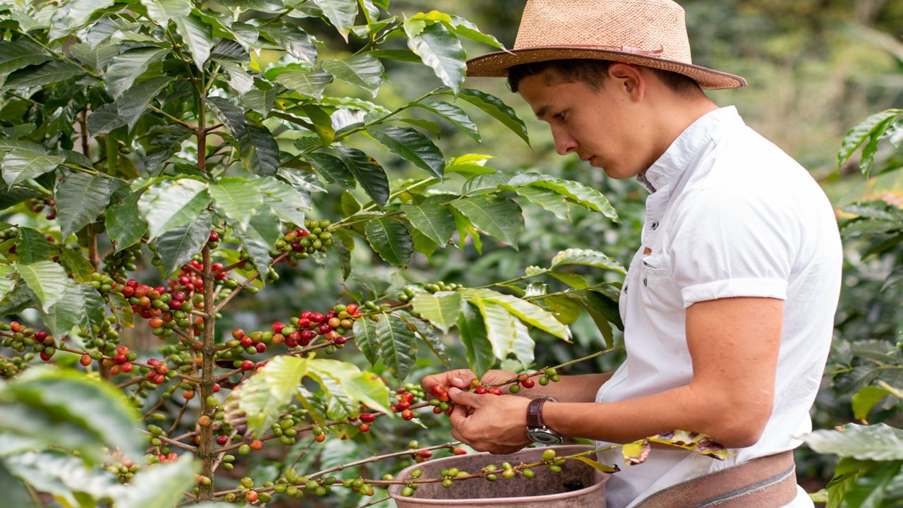 Tradição de fontes termais e café em 5 dias (5)