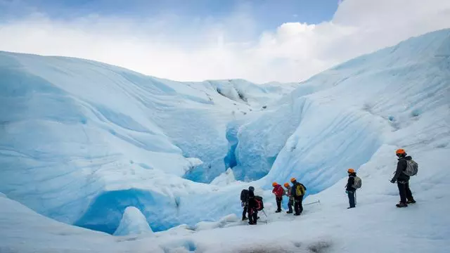 Touching The Ice Trekking To The Gray Glacier
