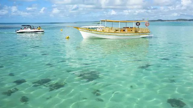 Visite De La Plage De Maragogi