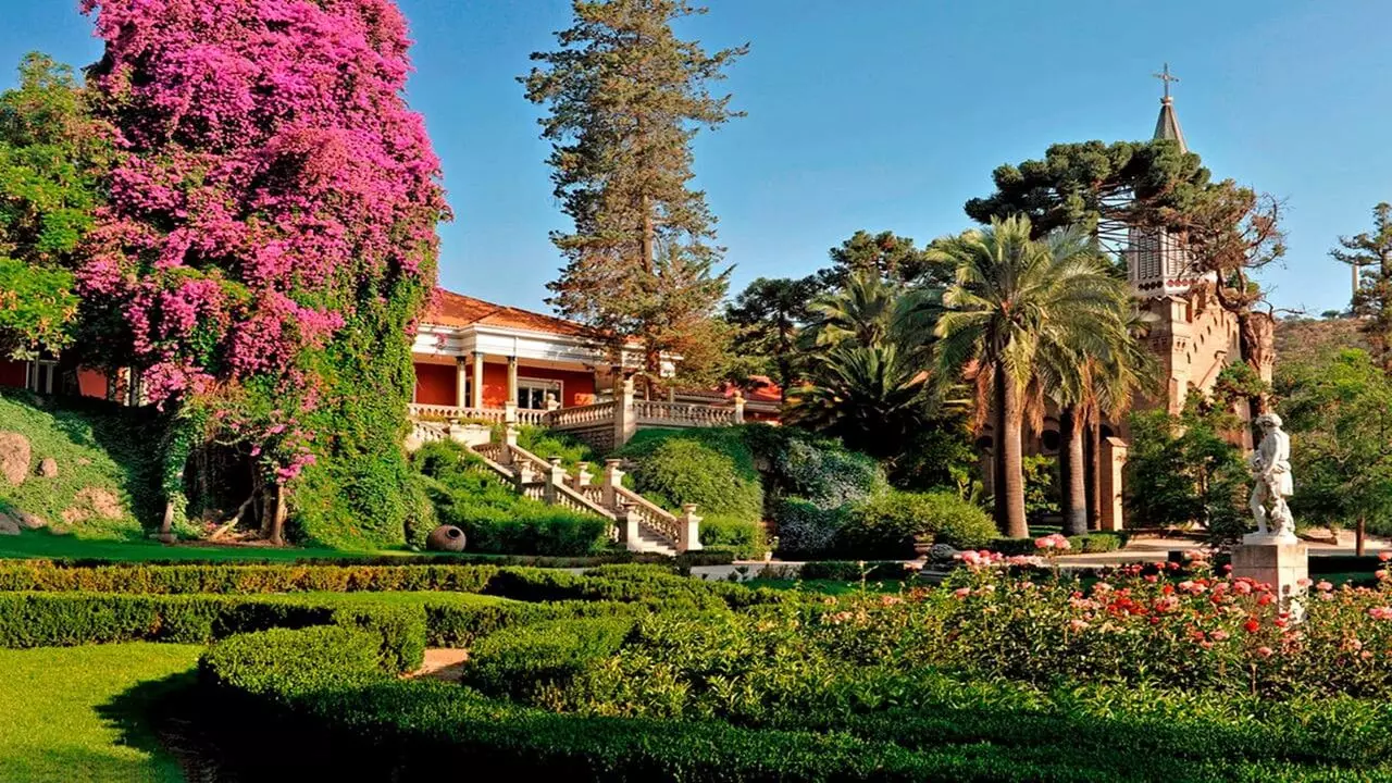 Tour To Santa Rita Vineyard From Santiago