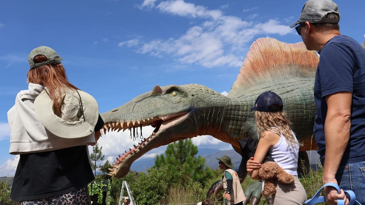 Tour zum Gondava Park und zur Straußenfarm (6)