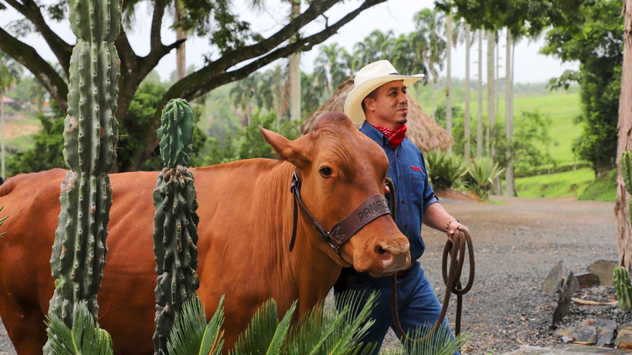 Tour to Panaca Park (2)