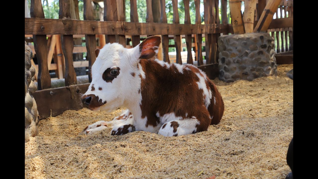 Tour to Panaca Park (5)