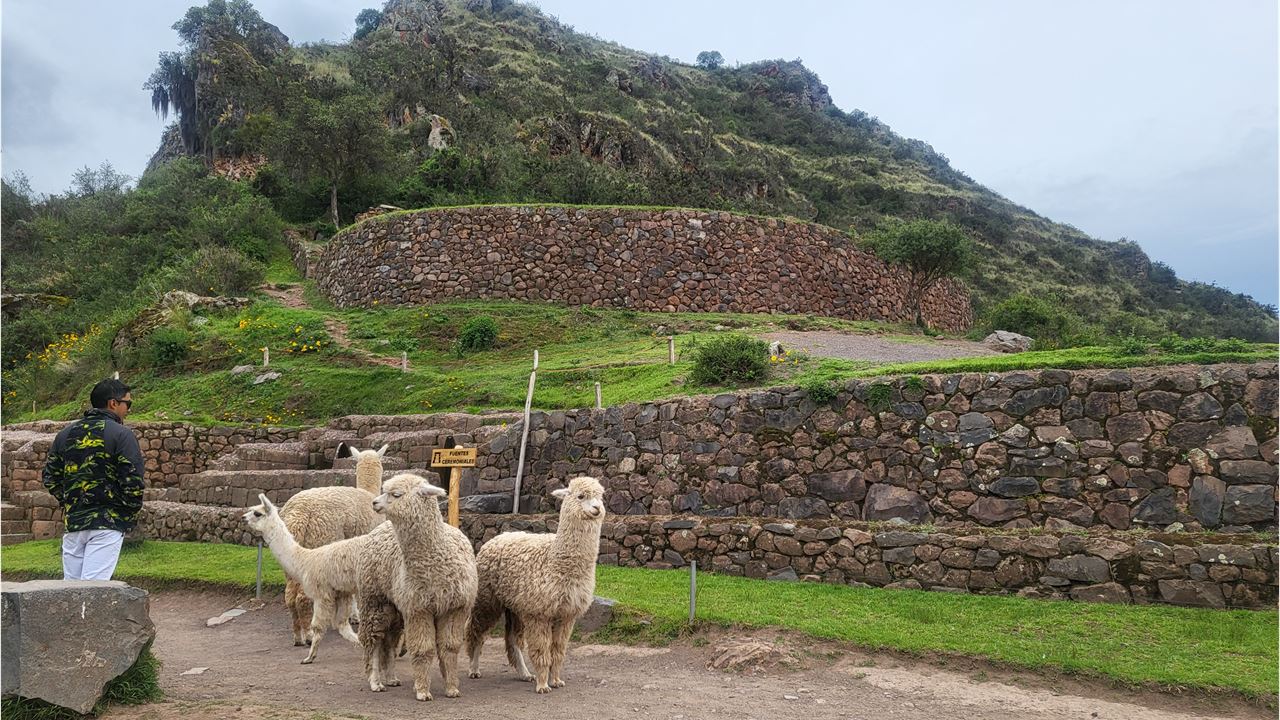 Heiliges Tal der Inkas, Pisac, Ollantaytambo und Chinchero mit Mittagessen (7)