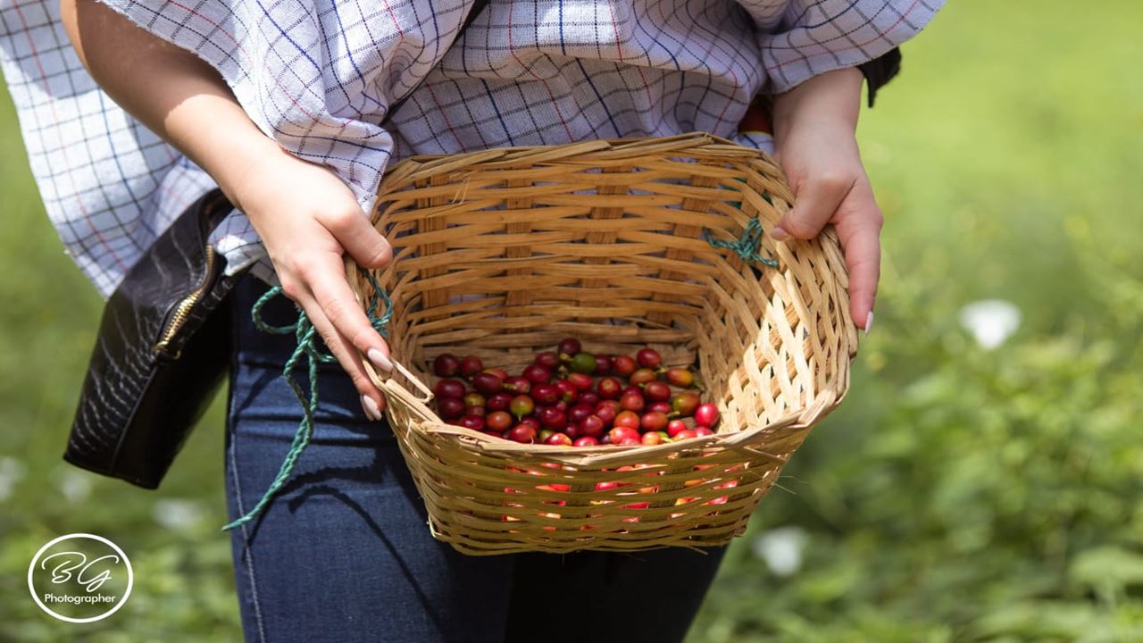 Kaffeetour In Santa Rosa De Cabal

