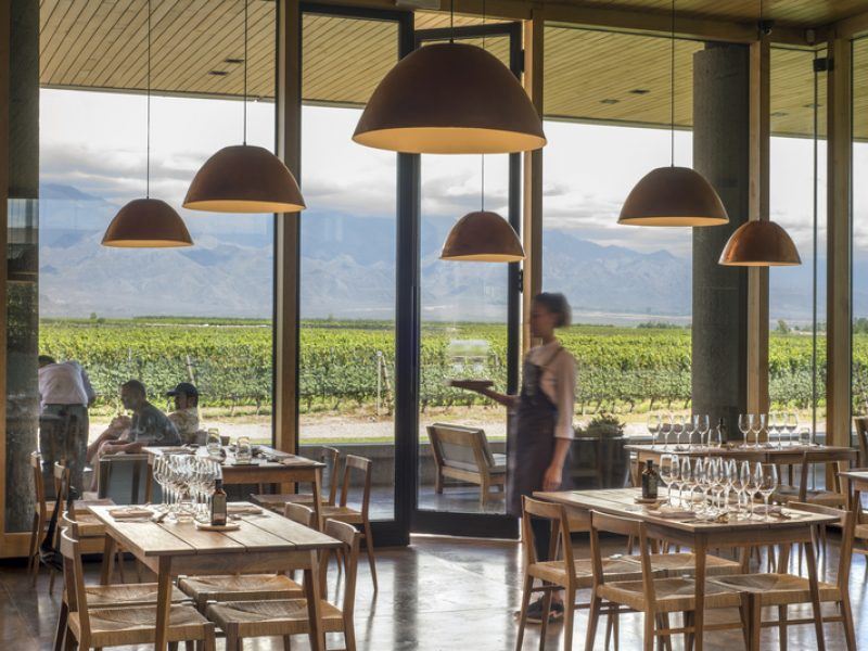 TOUR CATA DE VINOS BODEGA ZUCCARDI (2)