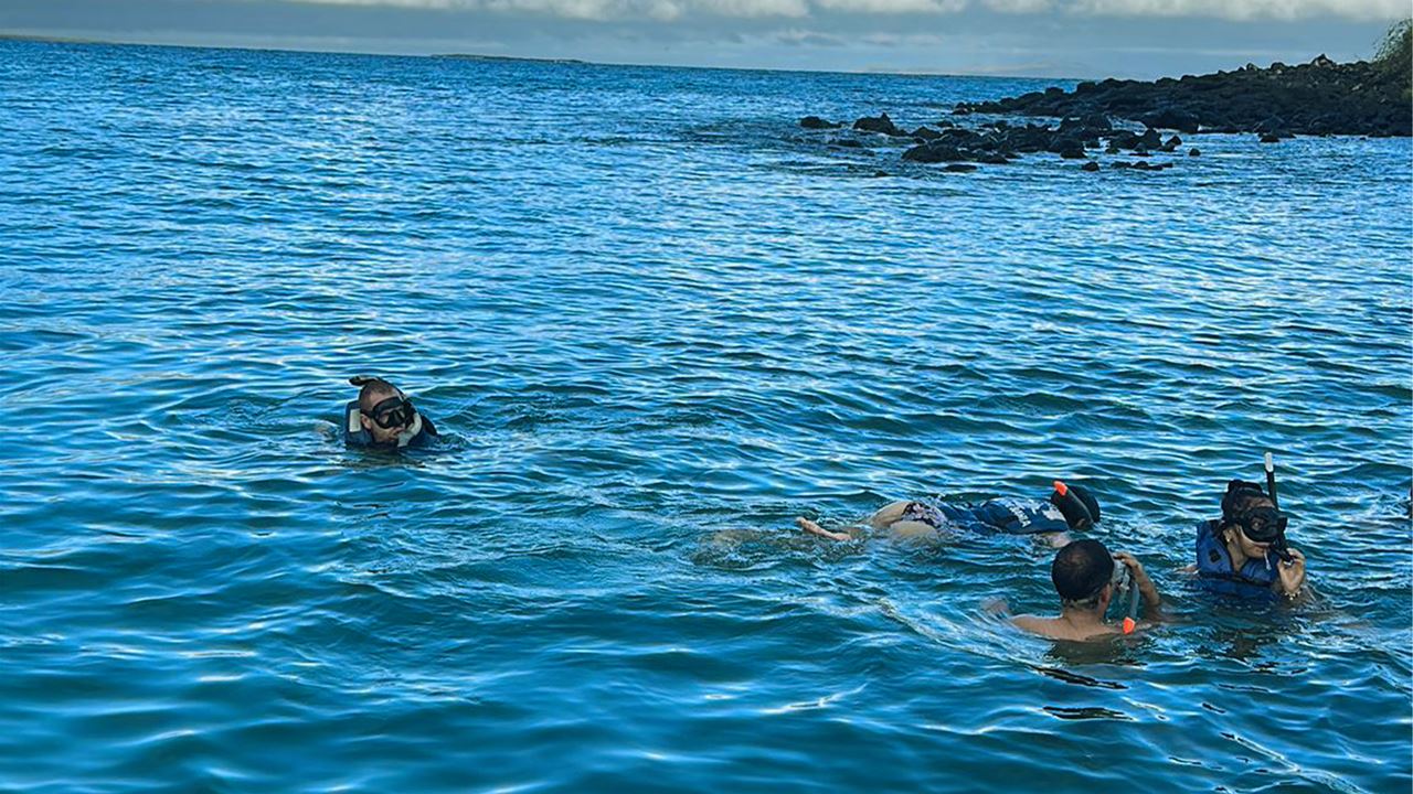 Tour de Bahía con Snorkel en Santa Cruz, Galápagos (5)