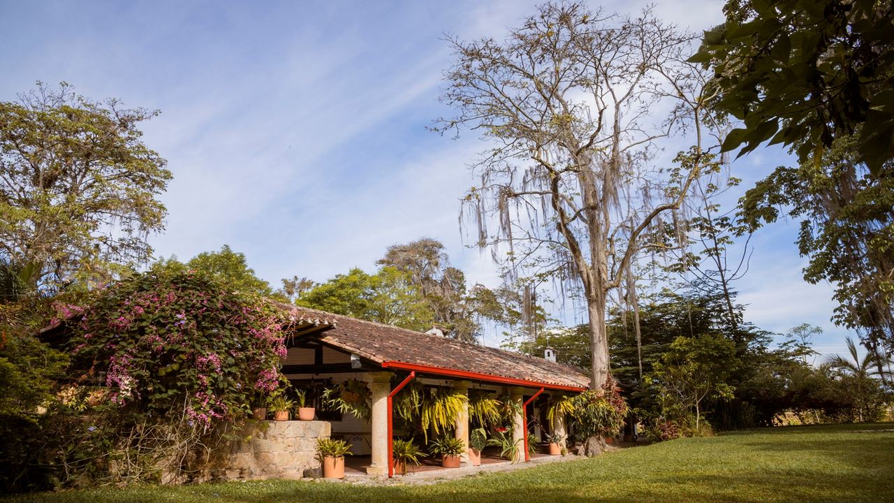 Coffee Tour at Historic Hacienda (2)