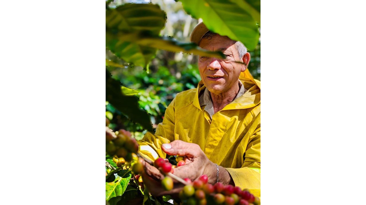 Coffee Tour at Historic Hacienda (10)