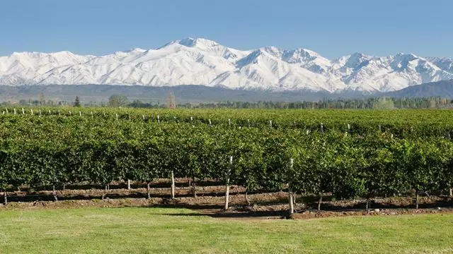 Tour Do Vinho De Meio Dia (Lujan-Maipu)