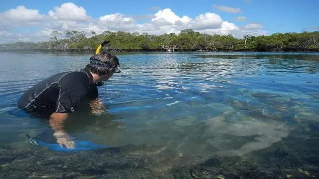 Tour Galapagos Island Hopping - Turista 5 Dias