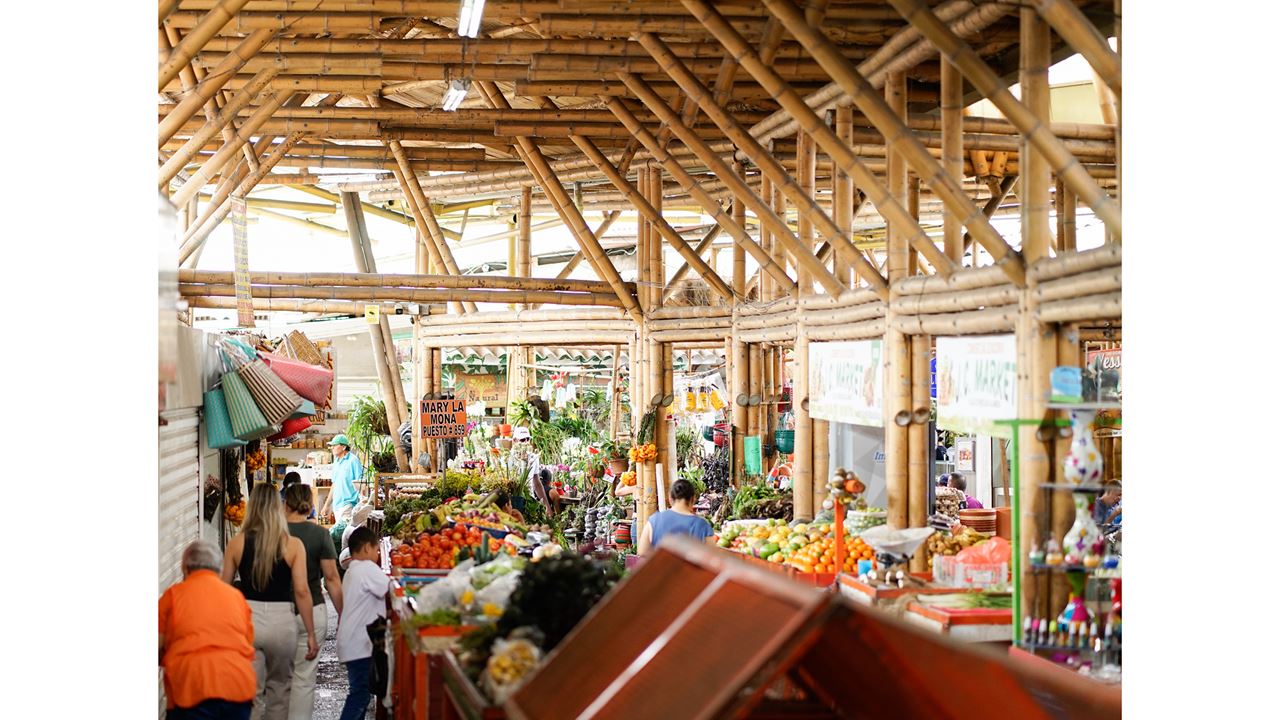 Passeio Gastronômico (11)