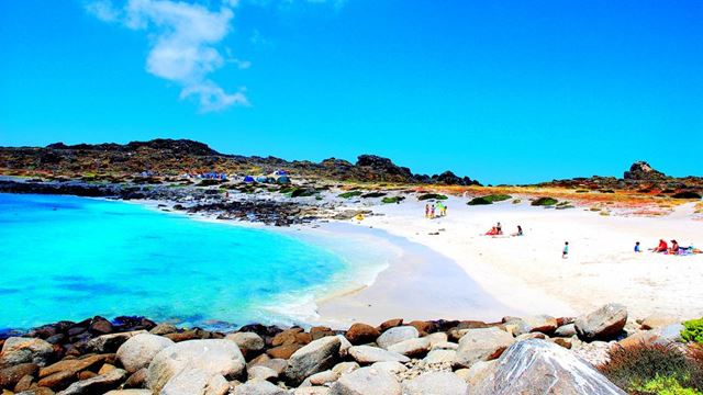 Damas Island Tour Pinguinbeobachtung