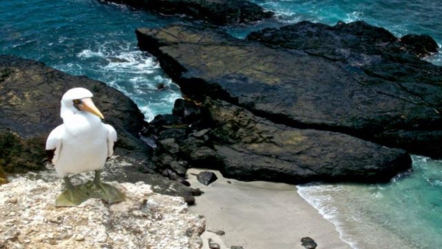 Excursion À Silver Island