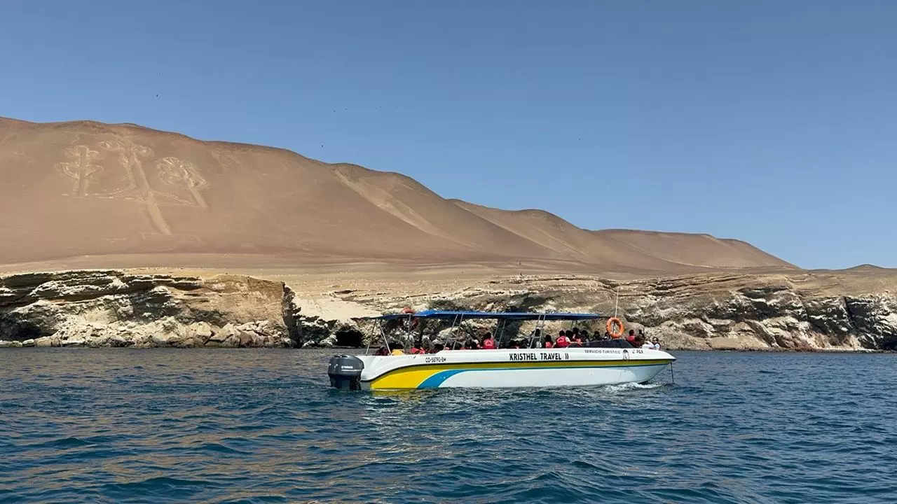 Visite Des Îles Ballestas Au Départ De Puerto San Martin