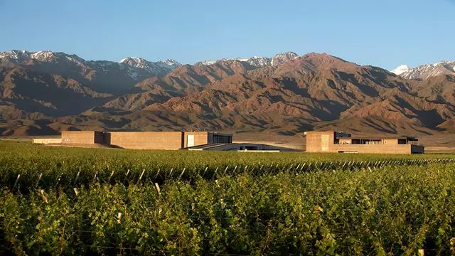 Tour Privado De Vinhos: Região Do Vale De Uco