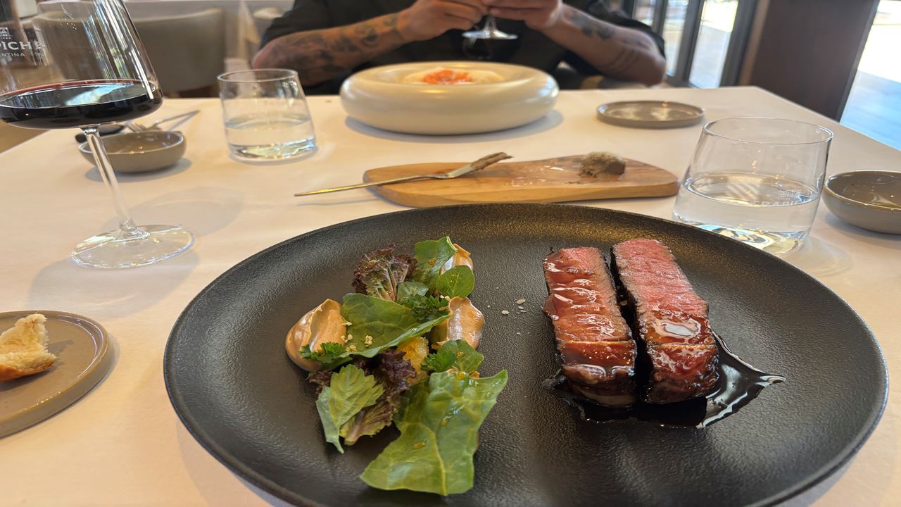 TOUR AND TASTING AT TRAPICHE WINERY (11)