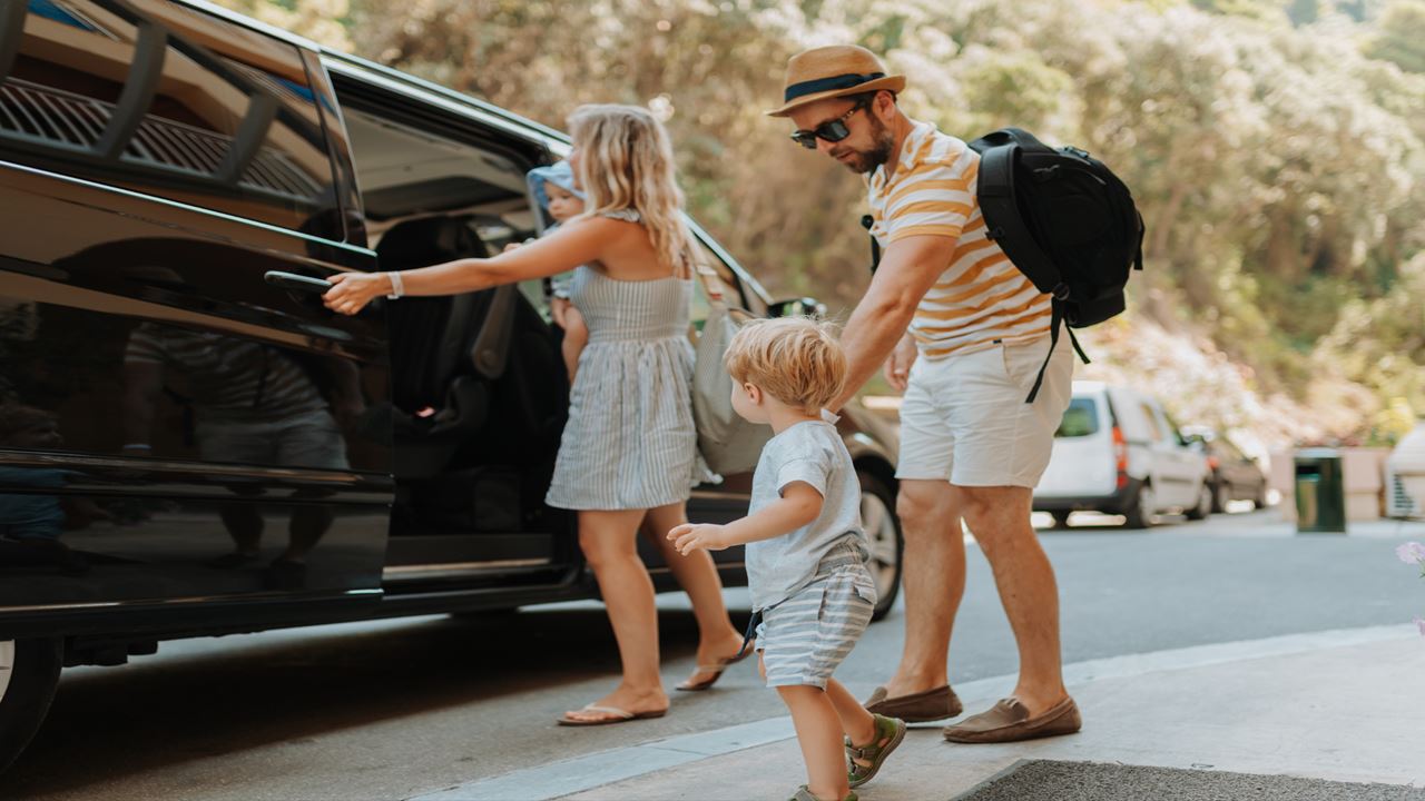 Private Departure Transfer: Hotel to Matecaña International Airport (4)