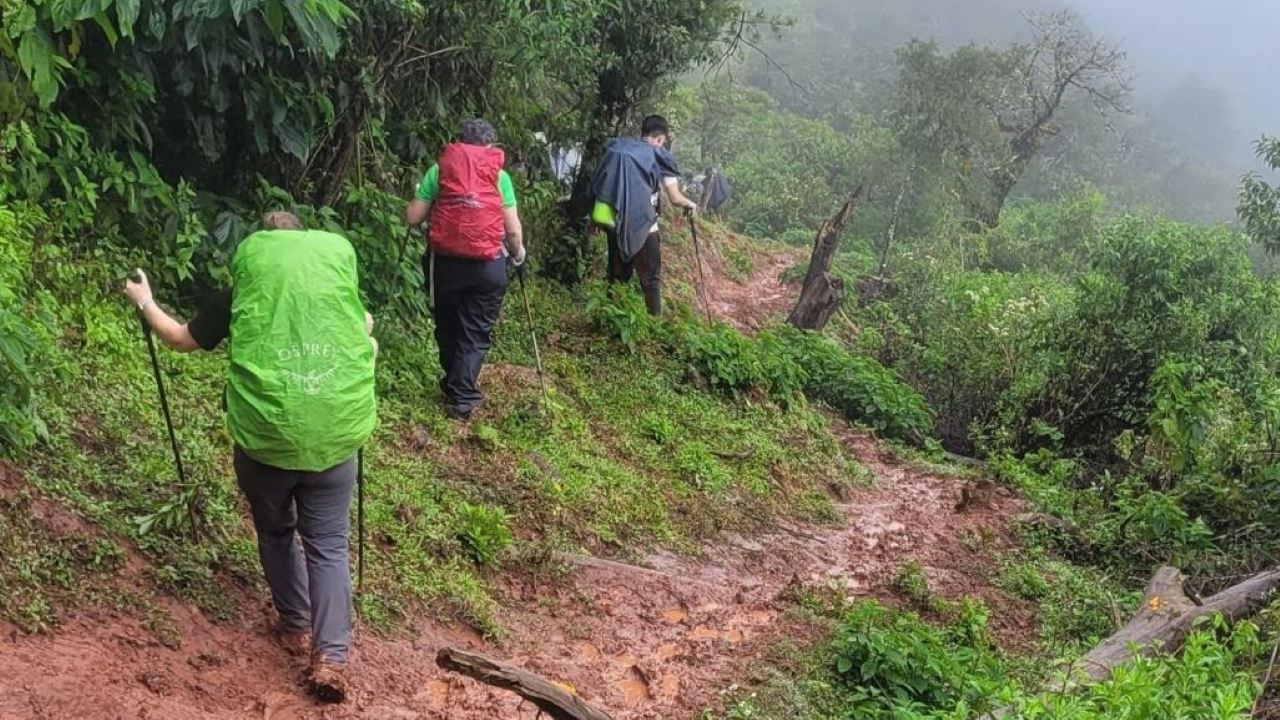Traversée De La Puna Aux Yungas