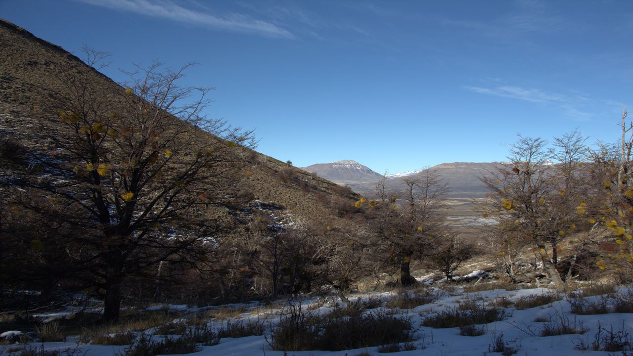 Randonnée jusqu`au sommet du Cerro Frias (5)