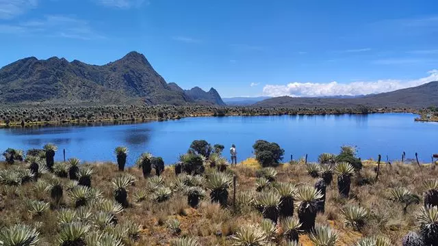 Trekking Zum Páramo De Sumapaz