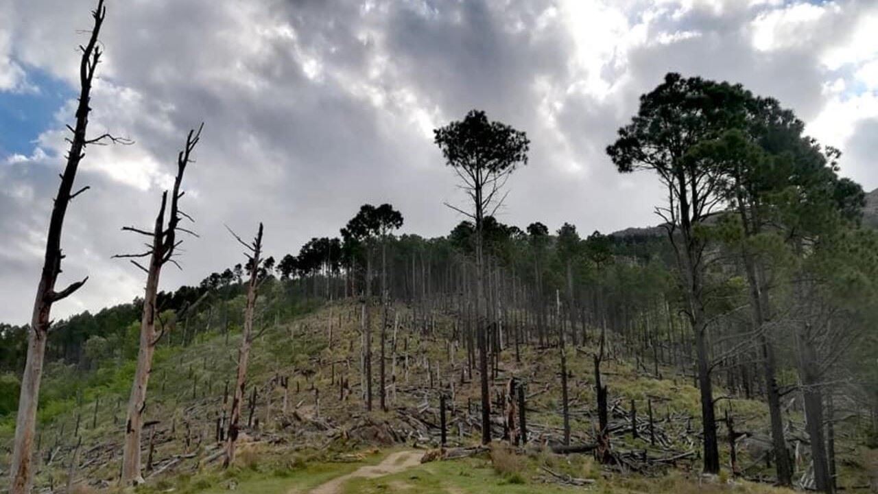 Colline de Champaqui (5)
