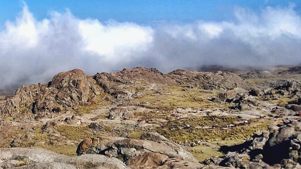 TREKKING CERRO CORONA (6)