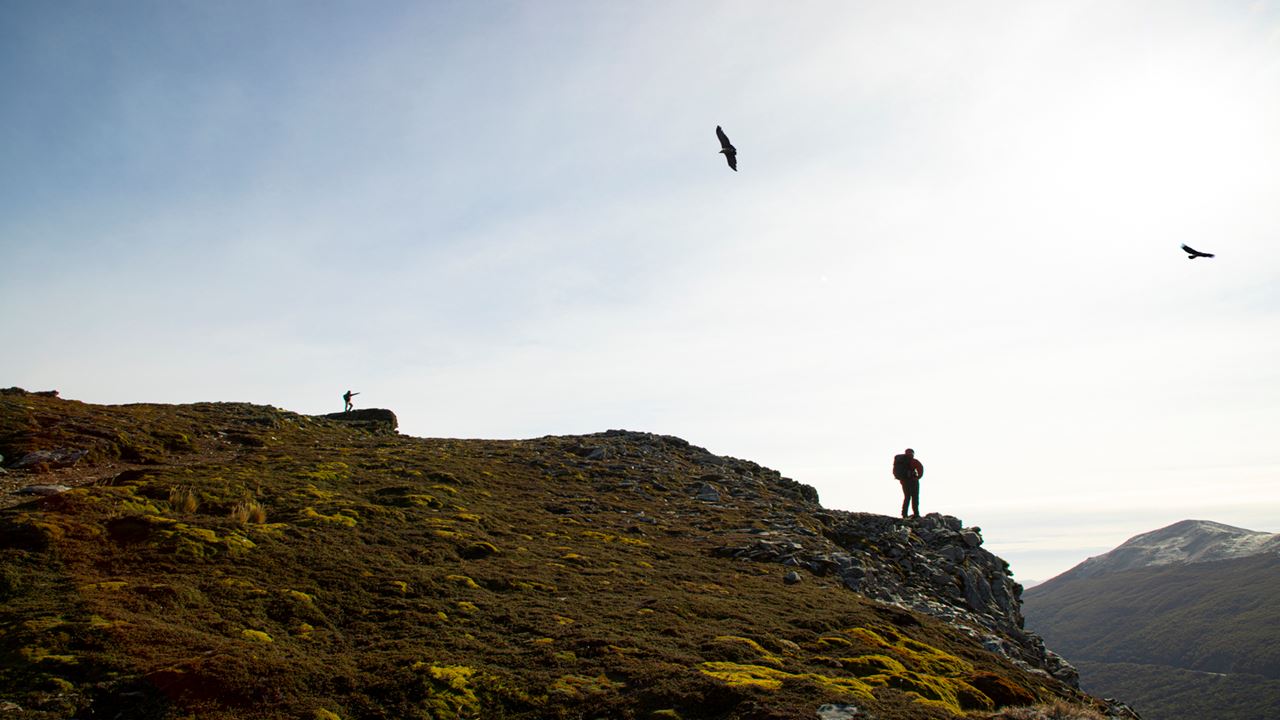 TWIN LAGOONS TREKKING (4)