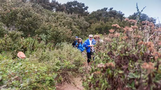Trekking Fray Jorge National Park Natural And Cultural Wonder