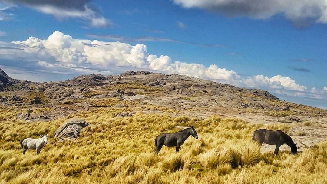 TREKKING AL PASO DE GARAY (2)