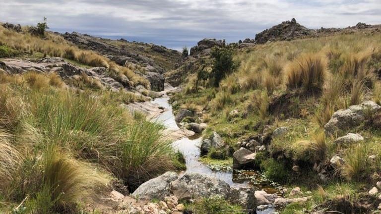TREKKING AL PASO DE GARAY (5)