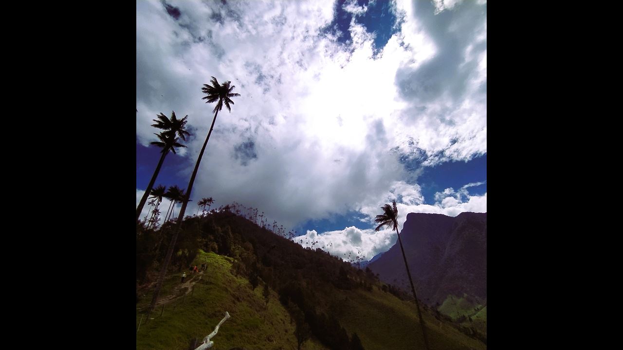 Cocora Valley Express In A Jeep Willys foto 6