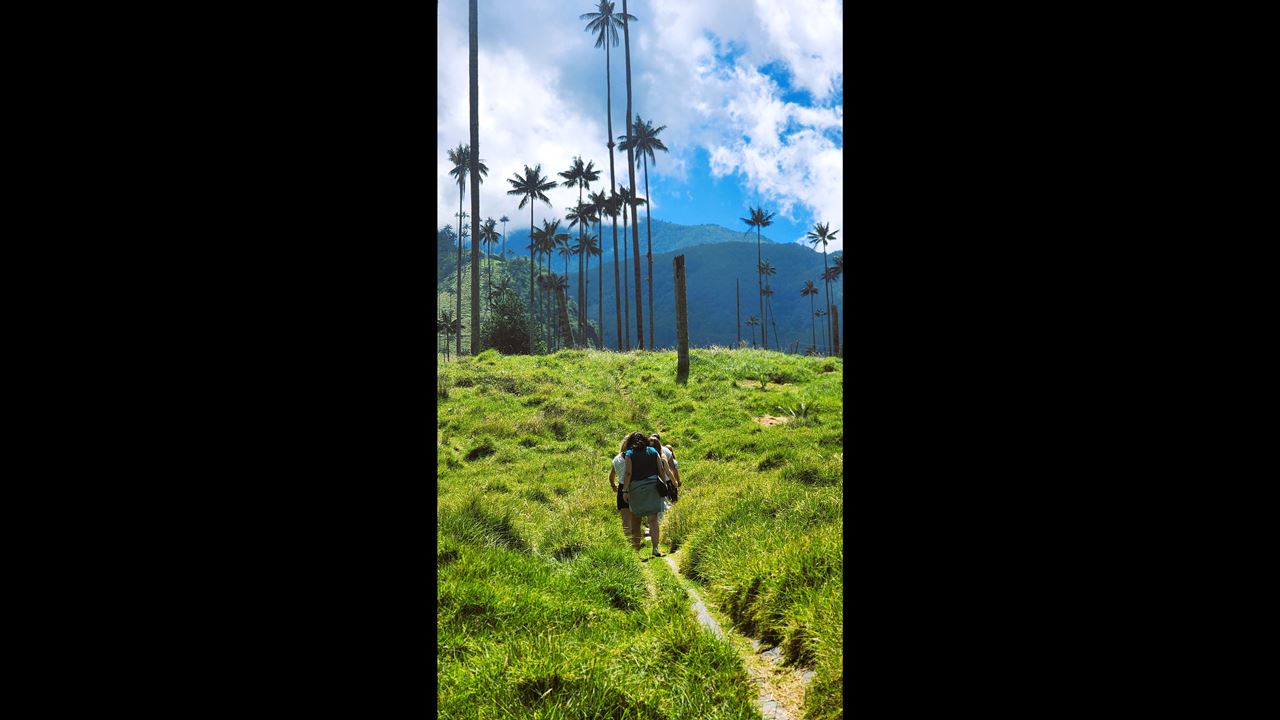 Cocora Valley Express In A Jeep Willys foto 7
