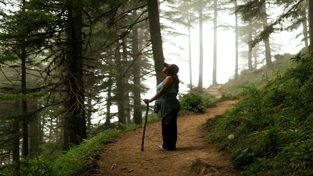 Valle del Cocora & Café: Full Day Imperdible en el Eje Cafetero (3)