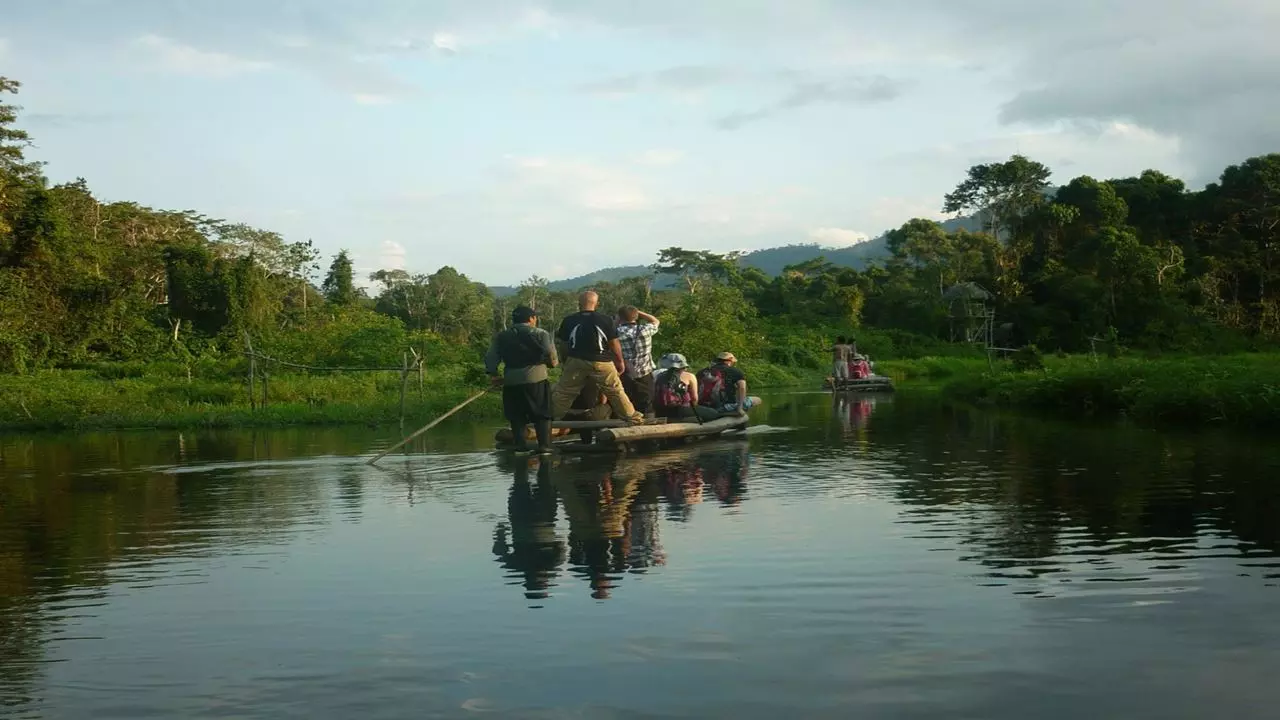 Viaje A La Selva Del Manu